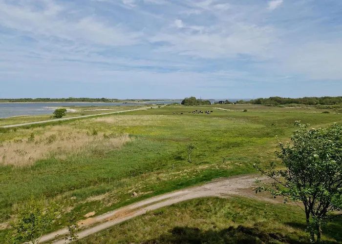 9 Person In Thyholm-by Traum *